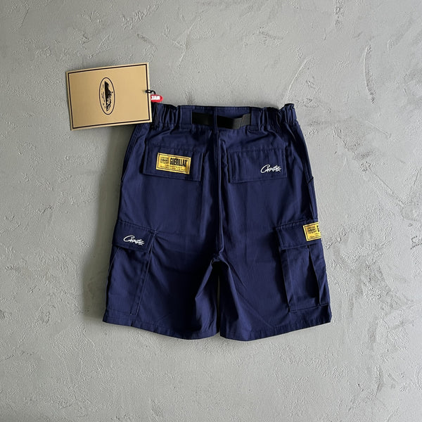 Corteiz Shorts Dark purple